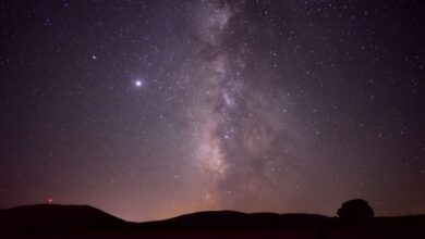 Veladas nocturnas en Ciudad Real / Diputación Ciudad Real
