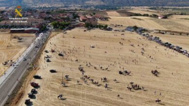 Encierro por el campo en Uceda (Guadalajara) / Foto: Guardia Civil