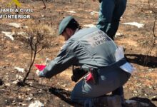 El SEPRONA investiga a una persona como supuesto autor del incendio forestal de Yunquera de Henares / Foto: Guardia Civil