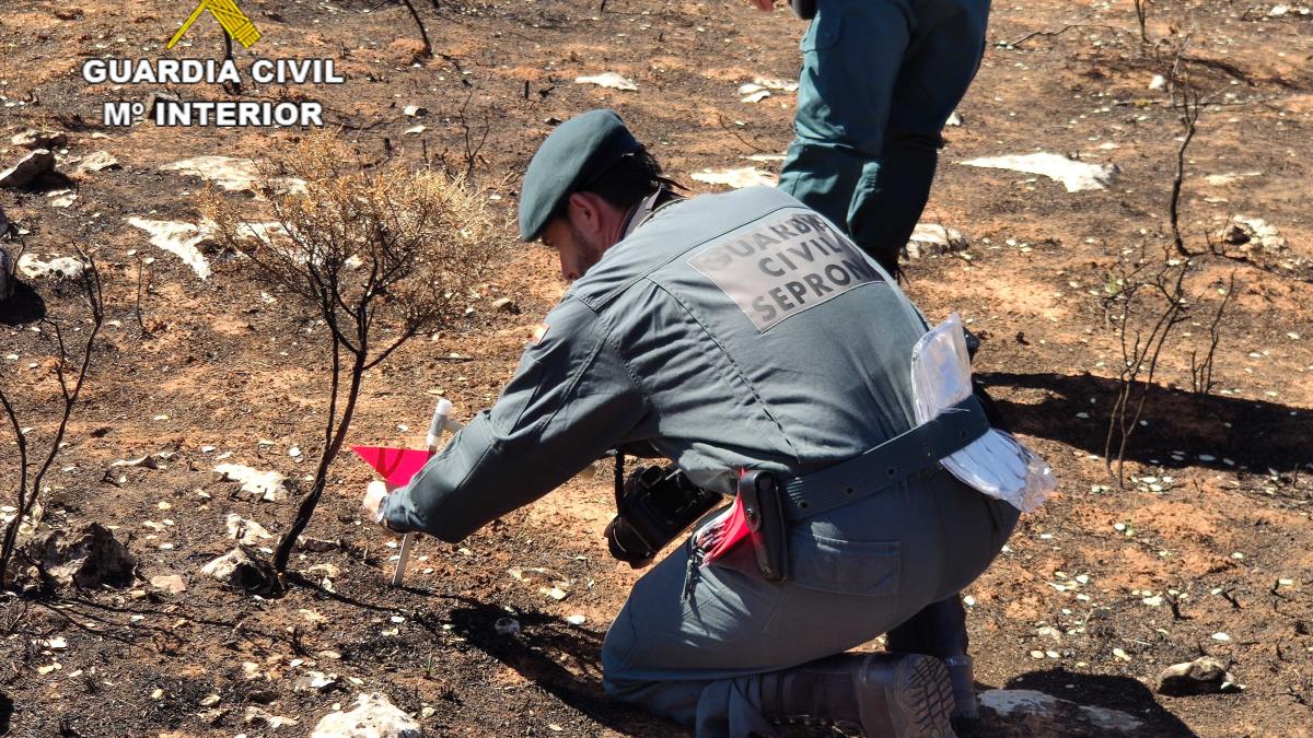 El SEPRONA investiga a una persona como supuesto autor del incendio forestal de Yunquera de Henares / Foto: Guardia Civil