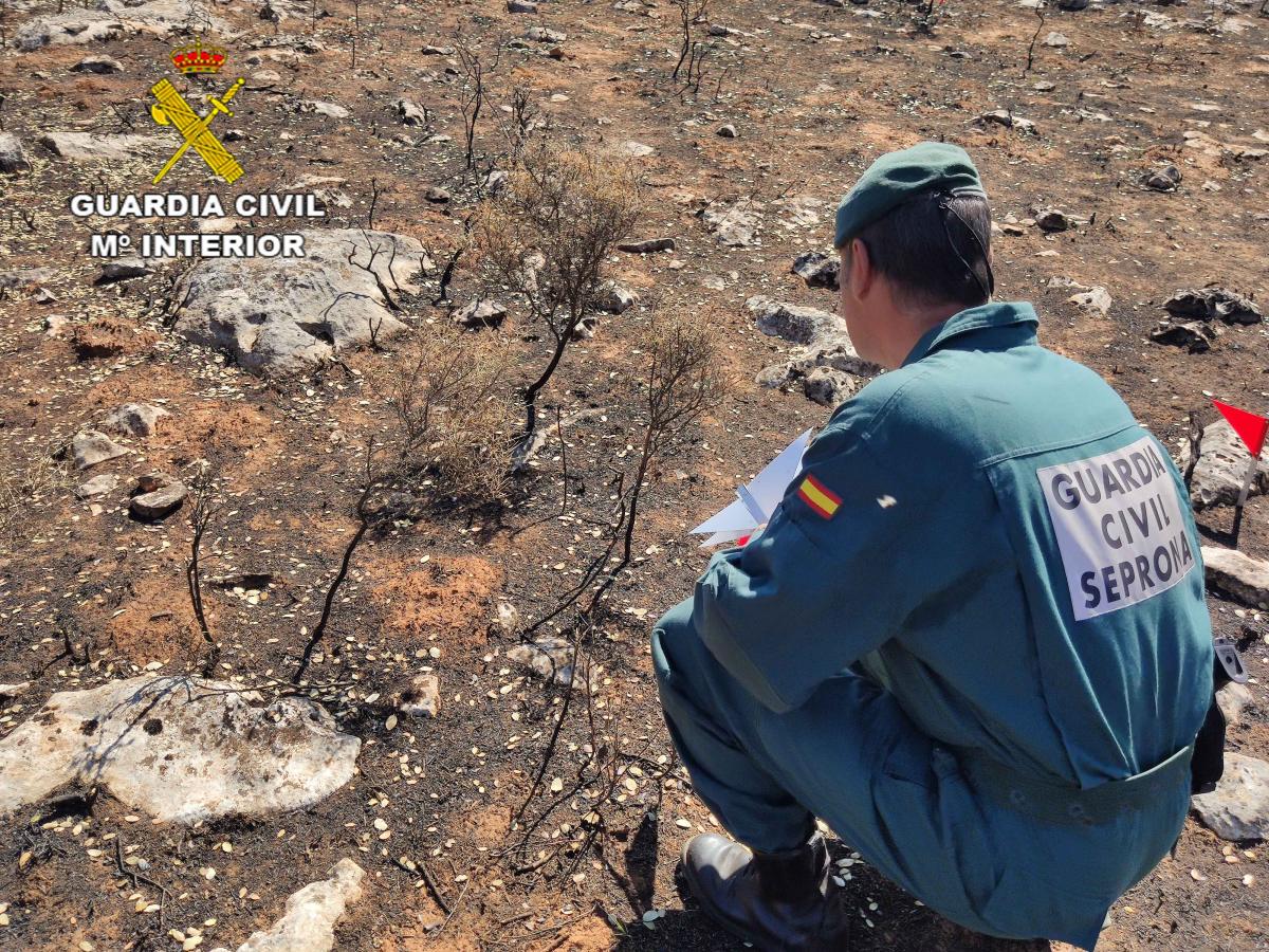 El SEPRONA investiga a una persona como supuesto autor del incendio forestal de Yunquera de Henares / Foto: Guardia Civil 