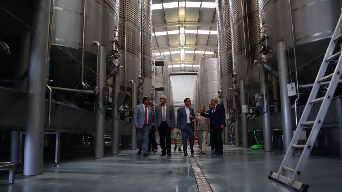 El consejero de Agricultura, Agua y Desarrollo Rural, Francisco Martínez Arroyo, visita las inversiones realizadas con ayudas del Gobierno regional en la Cooperativa Jesús del Perdón-Bodegas Yuntero. (Fotos: JCCM)