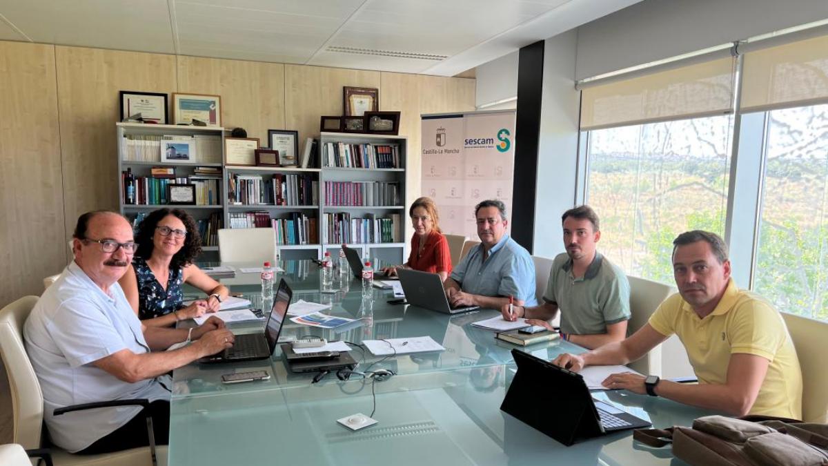 Grupo de trabajo del que forman parte profesionales de la Dirección General de Cuidados y Calidad del SESCAM / Foto: JCCM