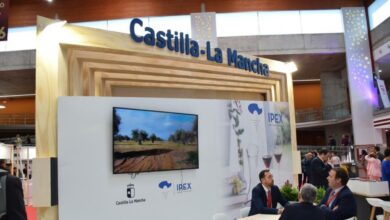 El Gobierno de Castilla-La Mancha promociona el vino de las bodegas y empresas de la región con acciones virtuales en el mercado asiático / Foto: JCCM