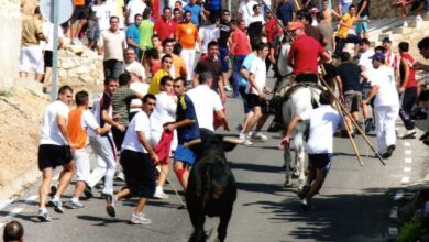El Gobierno de Castilla-La Mancha declara el tradicional encierro de ‘La Charcuela’ de Uceda como Fiesta de Interés Turístico Regional / Foto: JCCM