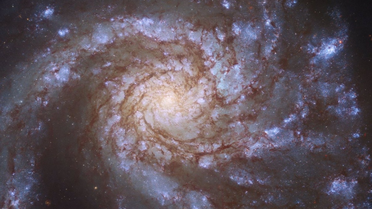 Archivo - Galaxia M99 - ESA/HUBBLE & NASA, M. KASLIWAL, J. LEE/PHANGS-HST