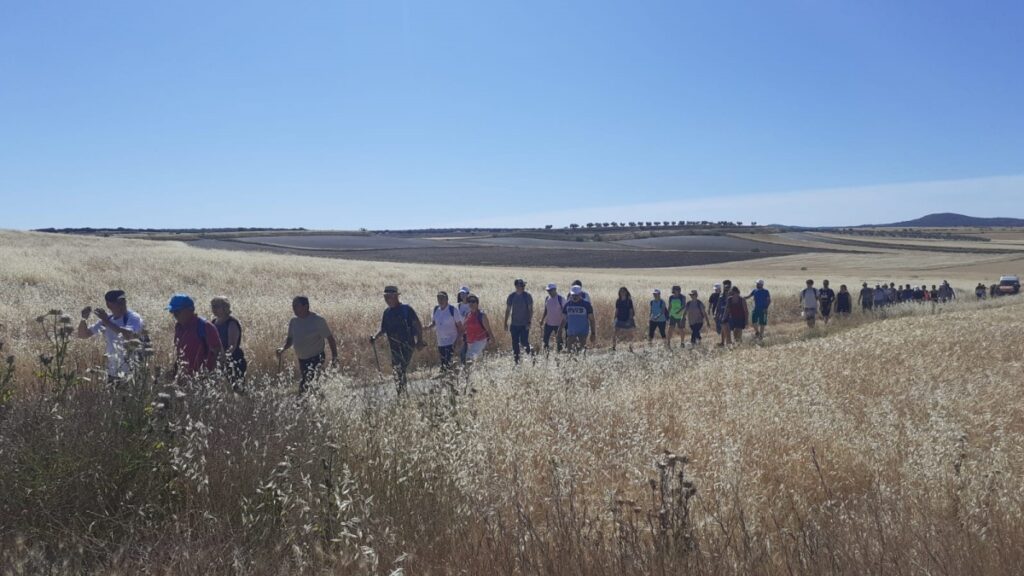 Castilla-La Mancha retoma este domingo la iniciativa ‘7.000pasosX’ tras el éxito de su primera edición / JCCM