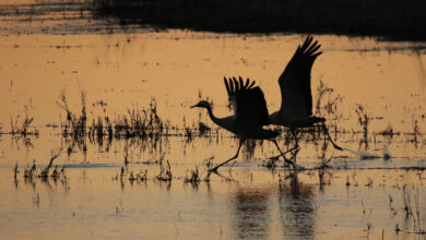 tiempo paisaje laguna puesta de sol