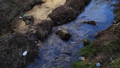Estado del río Huécar. CUENCA EN MARCHA 09/1/2024