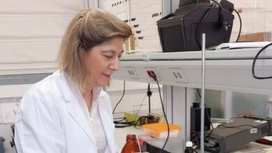 El desarrollo de sensores tanto químicos como electroquímicos para medir hidroperóxidos es un avance significativo en la detección de contaminantes. UCLM 02/2/2024