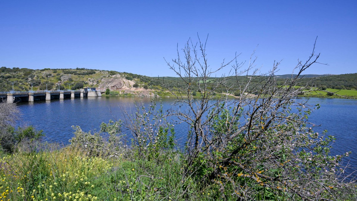 EL VICARIO (CIUDAD REAL), 23/04/2024.- Vista del embalse de El Vicario (Ciudad Real). Las reservas de agua de los embalses de la provincia de Ciudad Real continúan en su conjunto la tendencia al alza que vienen registrando desde los últimos meses, y por primera vez desde hace más de 10 años, superan el 70% de su capacidad. Según los datos de la Confederación Hidrográfica del Guadiana (CHG) consultados por EFE, los embalses de la cuenca del Guadiana se encuentran ya al 64,1% de su capacidad total, que es 397,39 hectómetros cúbicos (hm3), mientras que los embalses de la cuenca del Guadalquivir están al 77,4% de su capacidad total que es de 124 hm3. EFE/ Jesús Monroy