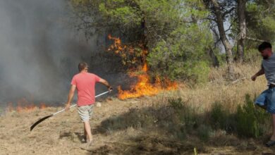 VALVERDEJO (CUENCA), 30/07/2024.- Medios combaten el incendio forestal en Valverdejo, en la provincia de Cuenca. El incendio que se ha declarado este martes en Valverdejo (Cuenca) se ha elevado a nivel 2 de emergencia por posible afección a bienes de naturaleza no forestal e infraestructuras esenciales, donde hay rachas de viento de 40 kilómetros por hora y se desplaza la Brigada de Refuerzo de Incendios Forestales (BRIF) de Lubia (Soria). EFE / Álvaro Del Olmo