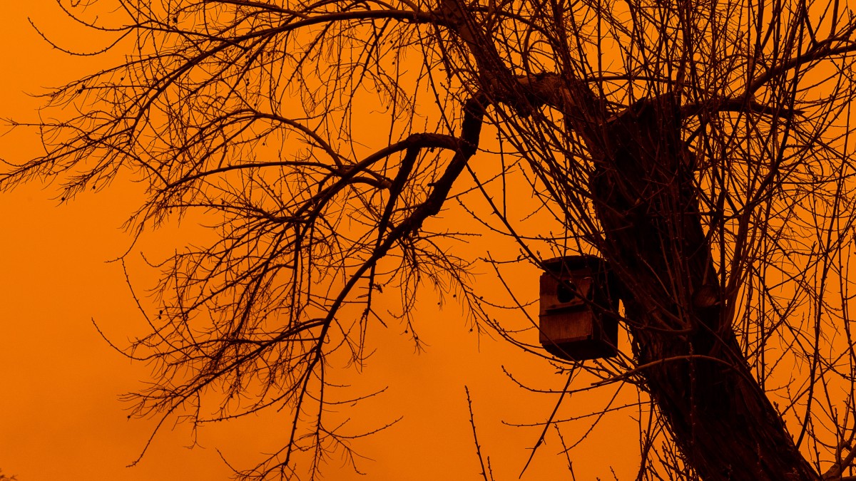 14/03/2022.- Murcia, Caravaca , Navares . La calima de la borrasca Celia arrastra particulas de polvo Sahariano dejando un cielo complematente rojo.