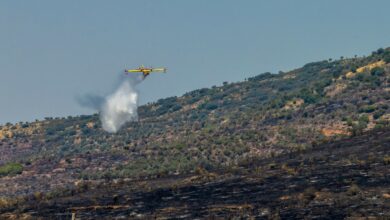 LA ESTRELLA (TOLEDO), 07/08/2024.- Un hidroavión participa en las tareas de extinción del incendio forestal declarado este martes en La Estrella (Toledo) y que ha quemado 2.500 hectáreas de terreno y se mantiene en nivel operativo 2, aunque está en una situación favorable, tras haber perimetrado el 60 % de la superficie afectada. EFE/Ángeles Visdómine