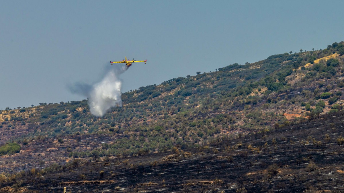 LA ESTRELLA (TOLEDO), 07/08/2024.- Un hidroavión participa en las tareas de extinción del incendio forestal declarado este martes en La Estrella (Toledo) y que ha quemado 2.500 hectáreas de terreno y se mantiene en nivel operativo 2, aunque está en una situación favorable, tras haber perimetrado el 60 % de la superficie afectada. EFE/Ángeles Visdómine