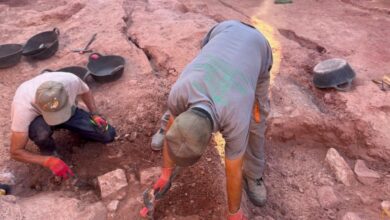 Labores de conservación del Castillo de la Estrella de Montiel. DIPUTACIÓN 05/8/2024