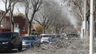 ALBACETE, 27/01/2025.- Las fuertes rachas de viento, que han llegado hasta los 109 kilómetros por hora en Albacete, han dejado 51 incidencias en la provincia, la mayoría de ellas en la capital, donde el viento del suroeste ha llegado a soplar hasta los 95 kilómetros por hora. Caídas de cornisas o macetas, cristales rotos, chapas de edificios levantándose, o árboles arrancados han sido algunas de las incidencias que se han registrado en Albacete capital en las últimas dos horas, según ha informado el 112 a EFE, que indica que no se tiene constancia de ninguna persona herida por el momento. EFE/Manu