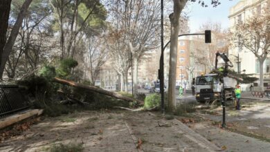 TOLEDO, 27/01/2025.- Las fuertes rachas de viento, que han llegado hasta los 109 kilómetros por hora en Albacete, han dejado 51 incidencias en la provincia, la mayoría de ellas en la capital, donde el viento del suroeste ha llegado a soplar hasta los 95 kilómetros por hora. Caídas de cornisas o macetas, cristales rotos, chapas de edificios levantándose, o árboles arrancados han sido algunas de las incidencias que se han registrado en Albacete capital en las últimas dos horas, según ha informado el 112 a EFE, que indica que no se tiene constancia de ninguna persona herida por el momento. EFE/ Manu