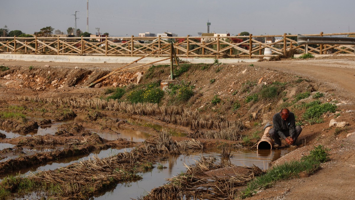 ROBER SOLSONA….20241105…VALENCIA……HUERTA DANA.