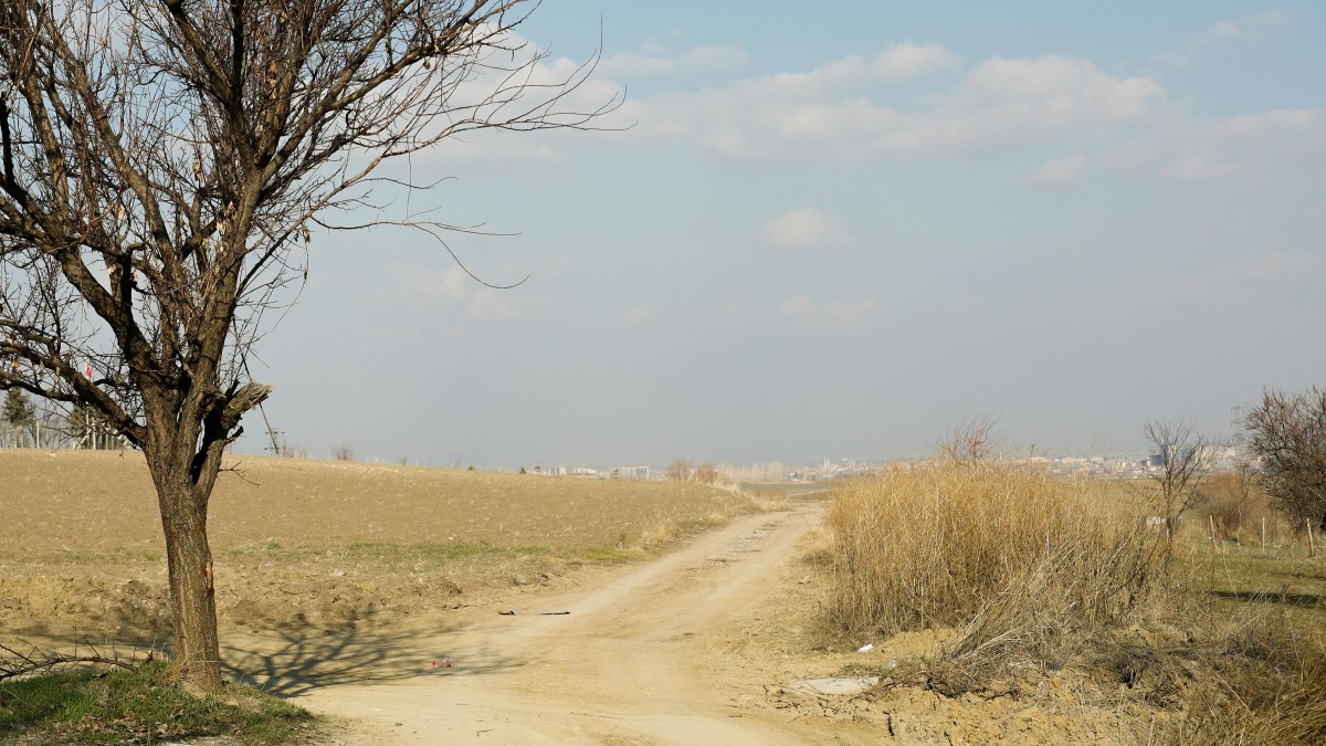 es-es/foto/arbol-solitario-en-un-camino-rural-de-tierra-bajo-un-cielo-azul-30547895/