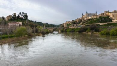 , este viernes. La consejera de Desarrollo Sostenible, Mercedes Gómez, ha informado de que la situación de los ríos de Castilla-La Mancha es de "relativa calma" pese a que los desembalses continúan en la región, ya que en las últimas horas no ha llovido con intensidad.