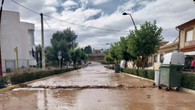 Foto: Asaja Cuenca