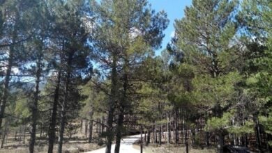 (Foto de ARCHIVO) Las máximas serán este martes significativamente altas para la época del año en España, con hasta 33 grados en Badajoz 04/9/2017
