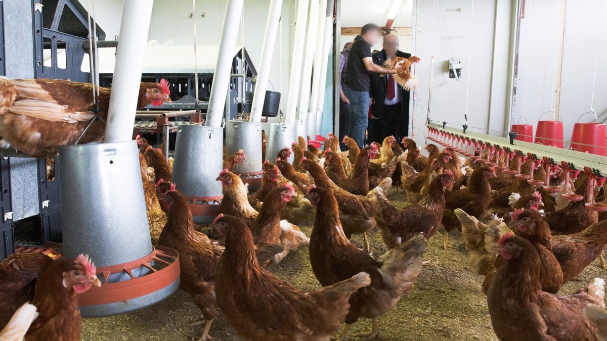(Foto de ARCHIVO) Alimentacion.- Oria reafirma el compromiso del Gobierno con la producción ecológica 16/5/2018