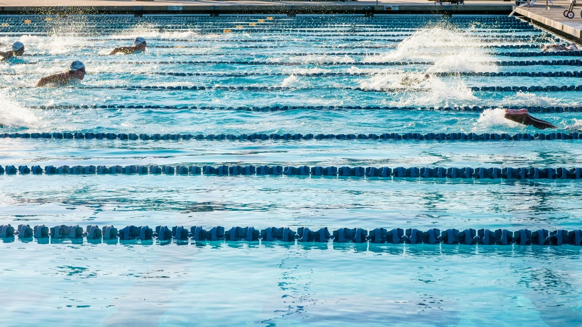 /es-es/foto/gente-piscina-olimpico-nadando-8688143/
