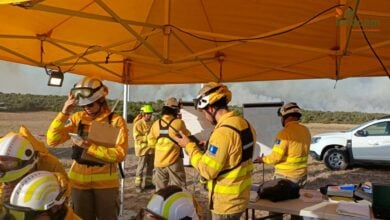 trabajan en la extinción del incendio forestal de Valverdejo.