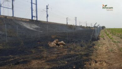 Zona afectada por el fuego junto a las vías de alta velocidad.